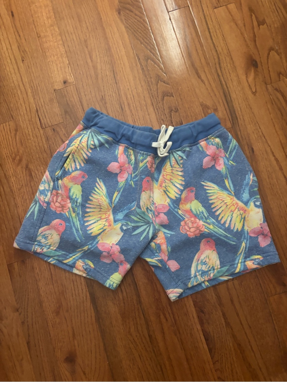 chubbies Blue Parrot & Floral Print Kids Shorts